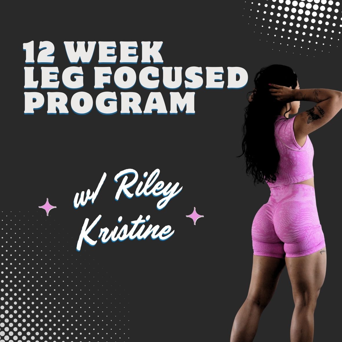 12 WEEK FULL BODY PROGRAM